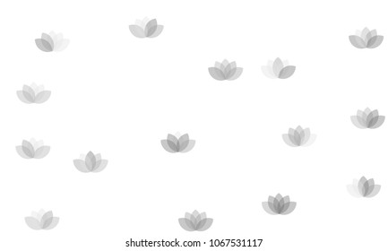 Many Grey Lotuses of Different Opacity on White Background