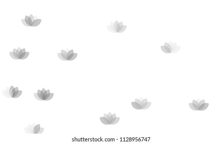 Many Grey Lotuses of Different Opacity on White Background