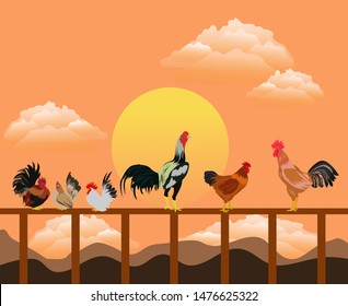 Many groups of chickens stand on a wooden fence. With sunset and orange sky as the background