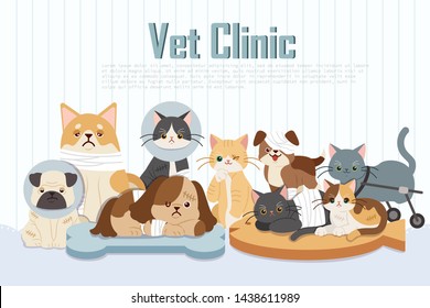 many injured cartoon dogs and cats on the white background with textbox