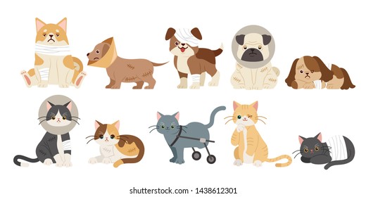 many injured cartoon dogs and cats on the white background