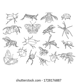 Many Insect outline stroke drawing 