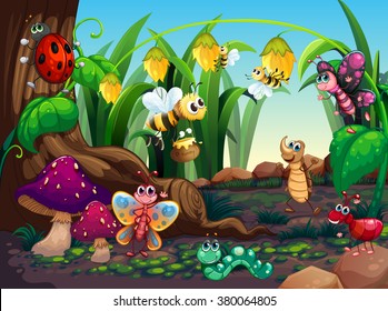 Many insects living in the garden illustration