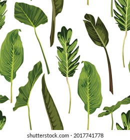 Many kind of exotic  green leaves seamless pattern on white background.	