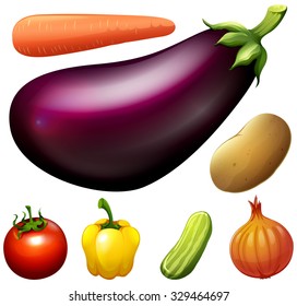 Many kind of fresh vegetables illustration