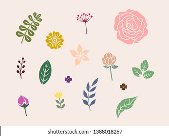 Many kind of tropical flowers and leaves collection