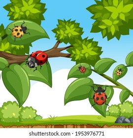 Many ladybug insects in the garden scene illustration