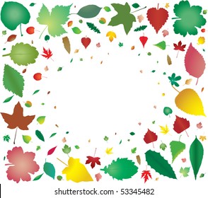 Many leafs from big to small