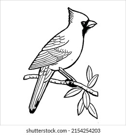 Many of the line art bird pictures