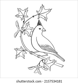 Many of the line art bird pictures