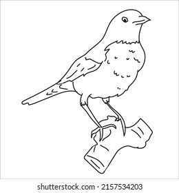Many of the line art bird pictures