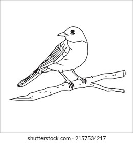 Many of the line art bird pictures