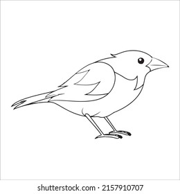 Many of the line art bird pictures
