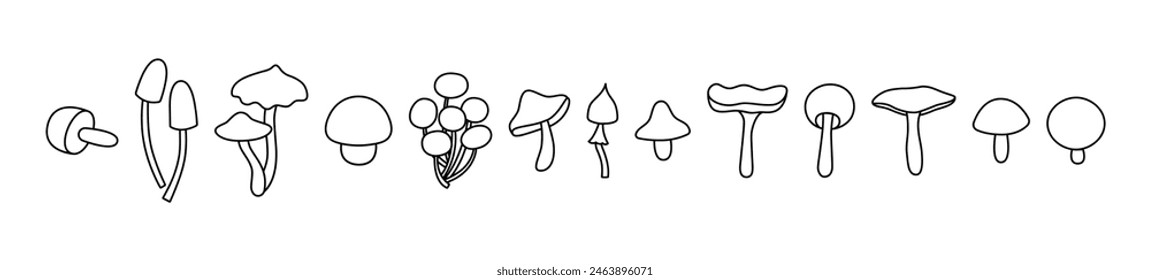 Many little mushrooms, set Wild mushrooms on a white background, outline drawn vector illustration, cartoon style