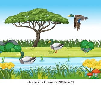 Many mallard duck at the pond illustration