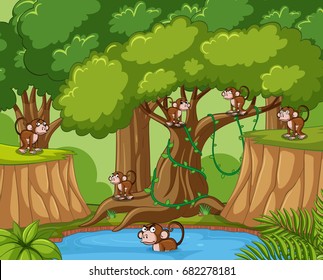 Many monkeys in the forest illustration
