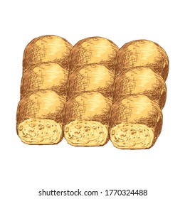 Many pastry buns isolated on white background. Bakery product. Hand Drawn vector illustration.