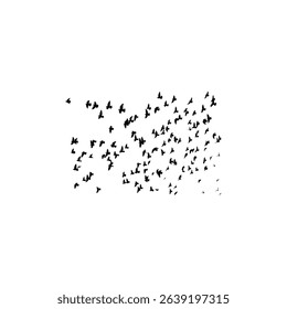Many pigeons flying on sky isolated on white background.