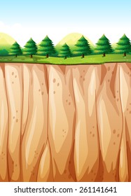 Many pine trees on top of the cliff