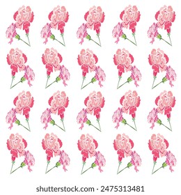 Muchas canaciones rosadas están dispuestas hermosas para el patrón en el diseño del Vector. para la tela de la moda, el Web, el Fondo de pantalla, el envoltorio y todos los estampados 