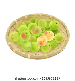 Many plums served in a bamboo colander Watercolor style