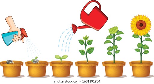 Many potted plants with seeds and flowers illustration