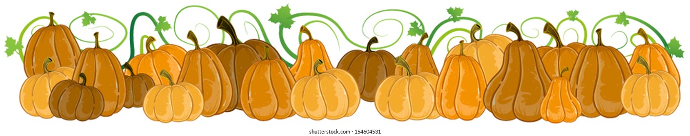 Many pumpkins of different forms with sprouts and leaves  on a white background