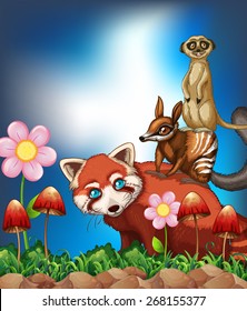 Many rare animals with beautiful flower
