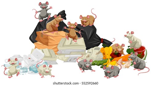 Many Rats Searching The Trash Illustration