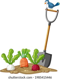 Many root vegetables in soil with shovel in cartoon style isolated illustration