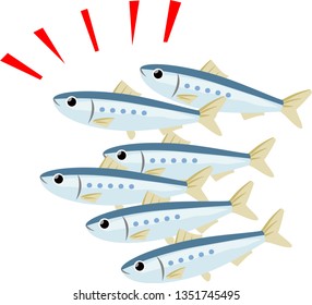 Many sardines, seafood