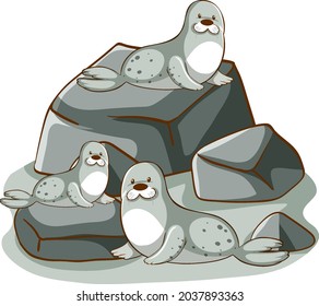 Many seals on the rocks illustration