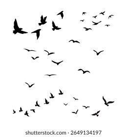 Many sets of birds flying in the sky isolated on white background. 
