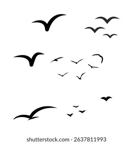 many sets of Birds flying through the sky capture the essence of freedom, grace, and the beauty of nature in motion.
