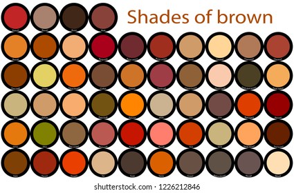 Many shades of brown
