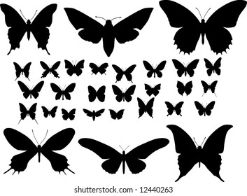 Many silhouettes of different butterflies