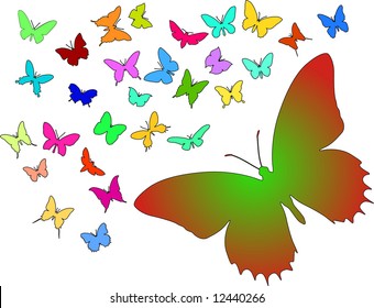 Many silhouettes of different butterflies