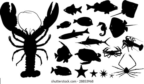 Many silhouettes of fish and other water animals