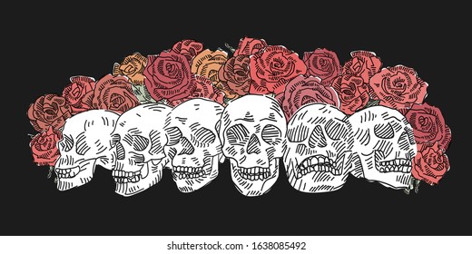 Many Skulls with Red Roses vector doodle. Vector illustration.