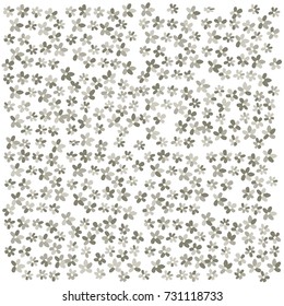 Many Small Grey Flowers of Different Color Tone on White Background