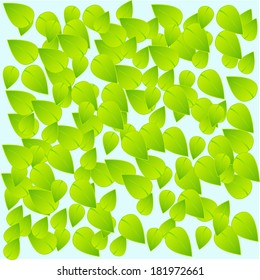 Many spring  green leaves on the blue background