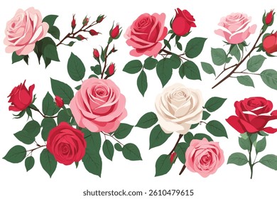 Many stems with little blue flowers and leaves in bunch of meadow grass and separately isolated on white background