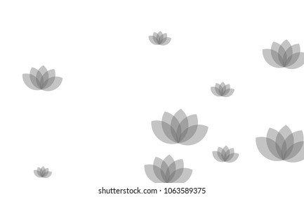 Many Stylish, Modern and Nice Looking Pink Lotuses on White Background