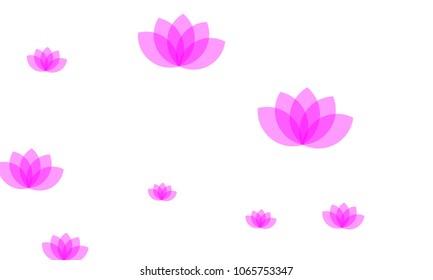 Many Stylish, Modern and Nice Looking Pink Lotuses on White Background