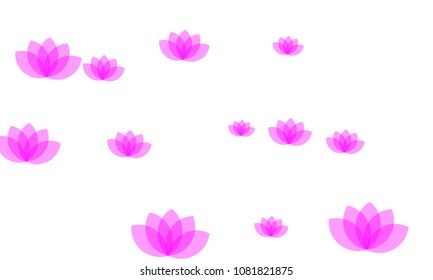 Many Stylish, Modern and Nice Looking Pink Lotuses on White Background