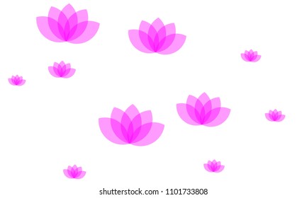 Many Stylish, Modern and Nice Looking Pink Lotuses on White Background