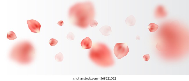 Many tender pink petals randomly flying in the air, wide vector illustration.