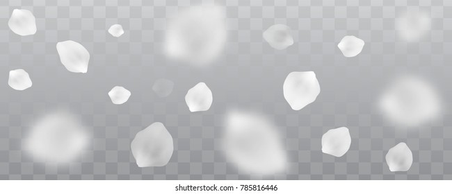 Many tender white petals isolated on transparent background, randomly flying in the air, wide vector illustration.