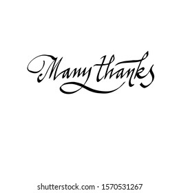 many thanks. calligraphic inscription, hand written by lettering.