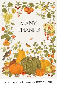 Many Thanks  Harvest  Greeting card for Thanksgiving Day  Autumn botanical illustration  